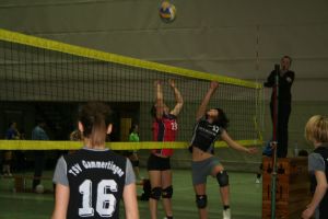 volleyball_6